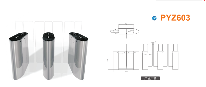 景德镇高新区平移闸PYZ603